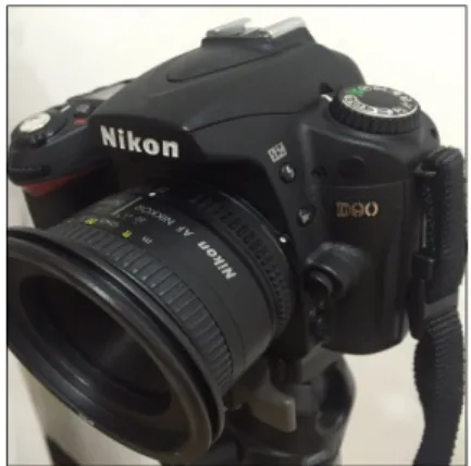 Figure 1. Nikon D90, Japan