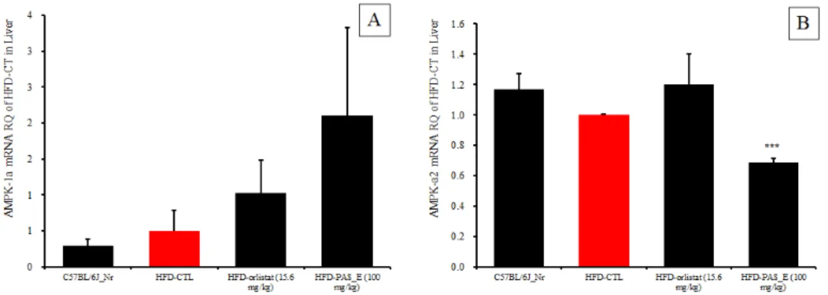 Figure 8. Effects of PAS_E ‡ materials on mRNA expression of AMPK-1 and AMPK-α2 §  in liver in mice consuming high fat diet.