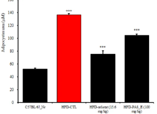 Figure 11. Effects of PAS_E *  on adipocyte area size in mice  consuming high fat diet.