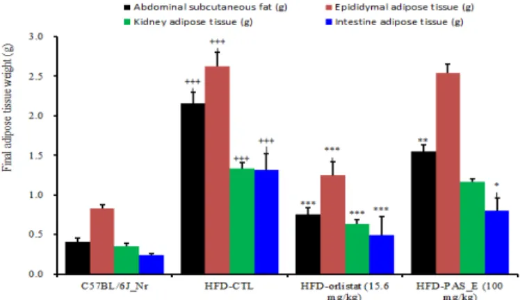 Figure 2. Effects of PAS_E *  materials on fat deposit in mice consuming high fat diet