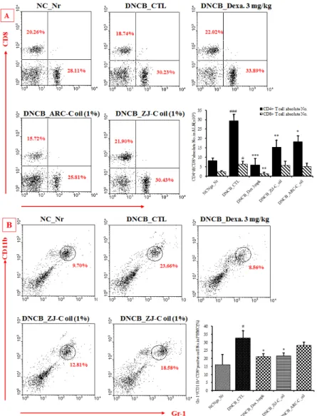 Figure 6. Effects of ZjJ-C_oil, ARC-C_oil treatment on the percentage of CD4 + &amp;CD8 +  and CD11b + /Gr-1 +  changes of total absolute numbers in PBMC cells in NC/Nga mouse by DNCB