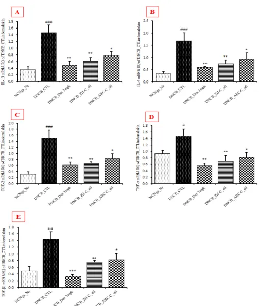 Figure 9. Effects of ZjJ-C_oil, ARC-C_oil treatment on IL-4, IL-13, COX-2, TNF-α and TGF-β1 mRNA expression in dorsal skin cells in NC/Nga mouse by DNCB