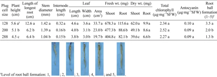 Table 1. Plug seedling quality of P. frutescens var. acuta Kudo measured at 45 days after sowing as affected by plug cell size.