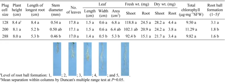 Table 3. Plug seedling quality of A. gigas Nakai measured at 75 days after sowing as affected by plug cell size.