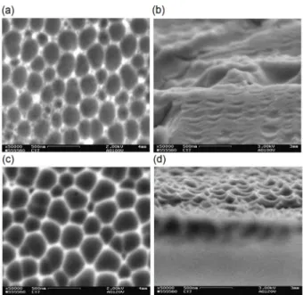 Fig. 4. FE-SEM of surface morphology after chemical etching (AAO removal step) at (a, b) 100 V, (c, d) 120 V.