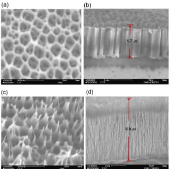 Fig. 6. Variation of pore thickness according to 2 nd  anodization time for 20 min at 100 and 120 V