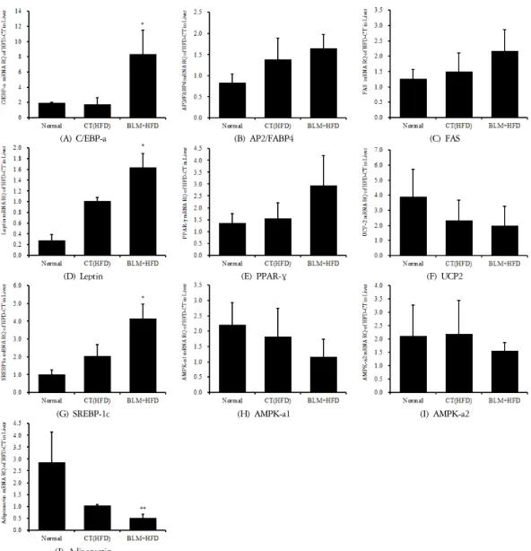 Figure 16. Effects of BLM on the mRNA expression levels in Liver tissue