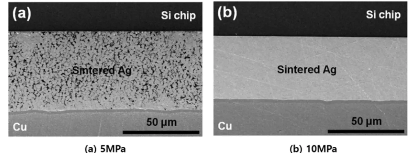 Fig. 6. SEM images of sintered Ag joint using Ag particle paste. 23)