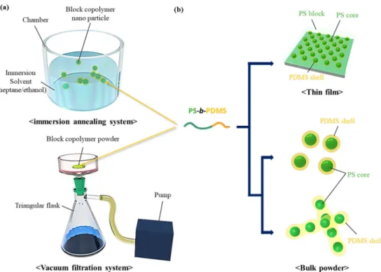 Fig. 2. Morphology transition of sphere-forming BCP by using immersion annealing system