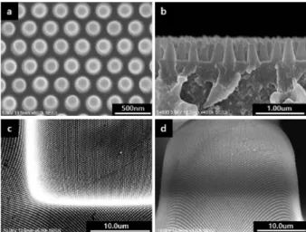 Fig. 3. SEM images of imprinted films. Top view (a) and side view (b) of the nanostructure