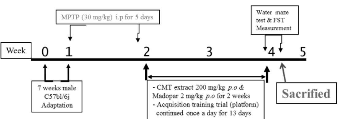 Fig. 1. Experimental design of MPTP Parkinson disease mouse model  A schematic representation of the experimental protocols used in this study.