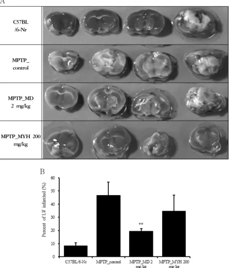 Fig. 5. Effects of Modified Yuldahanso-tang (MYH) on the coronal section in the MPTP-induced Parkinson's disease mice C57BL/6 mice were orally administered of MYH or MD and the acquisition training trial continued once a day for 13 days