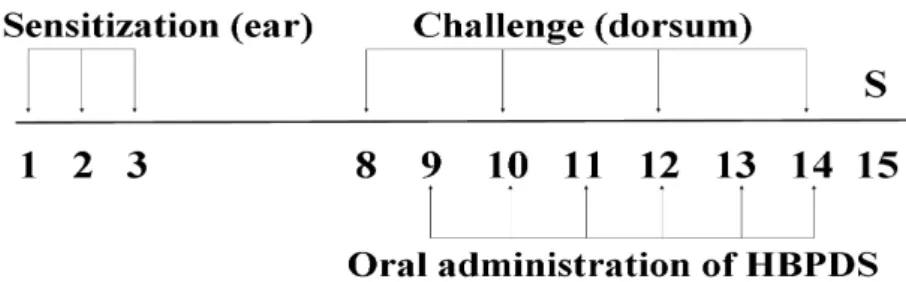 Figure 1. Experimental design.