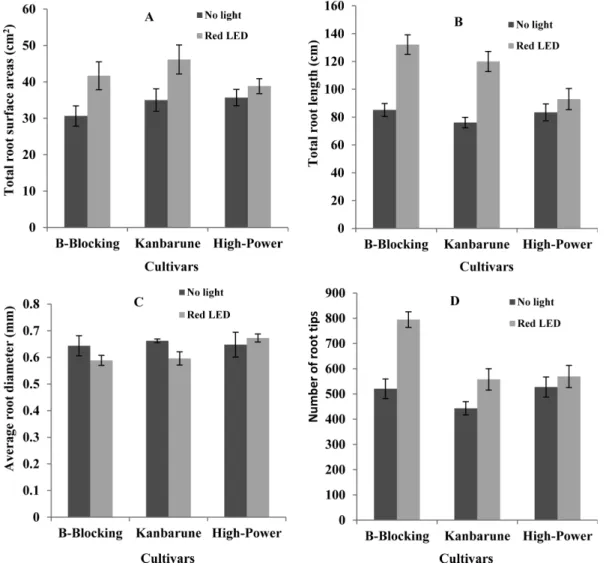 Fig. 1. Effect of red LEDs and darkness during healing and acclimatization process on root morphology of grafted tomato seedlings