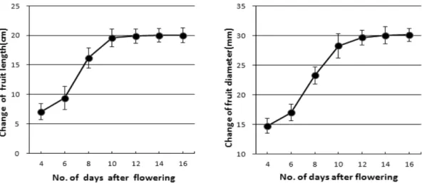 Fig. 2. Growth of okra in growing field (left) and change of okra fruit length according of days after flowering (right)