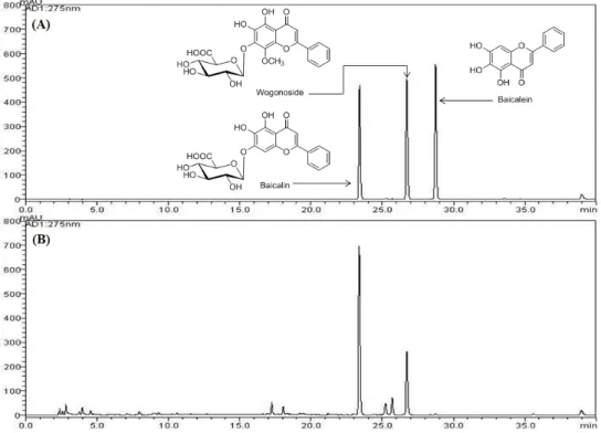 Figure 1. HPLC chromatogram of the standard mixture (A) and Cheongsimyeonja-tang sample (B) at 275 nm.