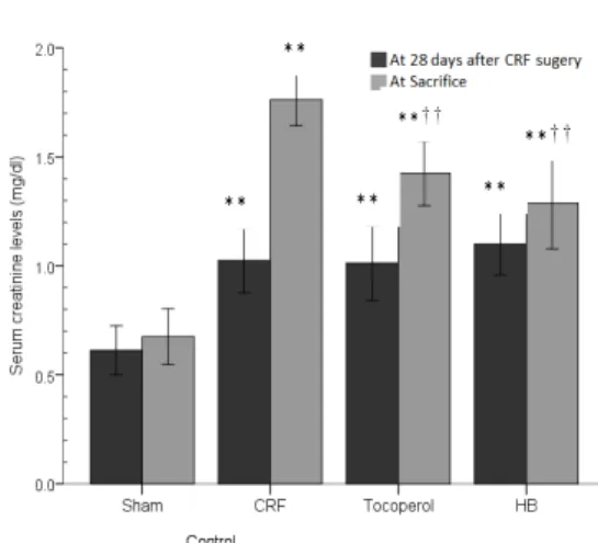 Figure 2. Serum BUN and creatinine level in CRF rats Values are expressed Mean ± SD of eight rats