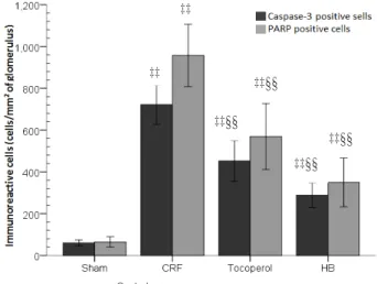 Table 6. Changes on the Kidney Antioxidant Defense Systems in CRF Rats