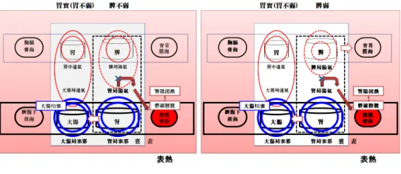 Figure 2. The pathological setup of Soeumin exterior symptomatology. The difference between Ulgwang symptomatology (a) and Mangyang symptomatology (b) is explained by whether the Spleen Yang-Qi is weakened or not, which is represented by the size of the ci