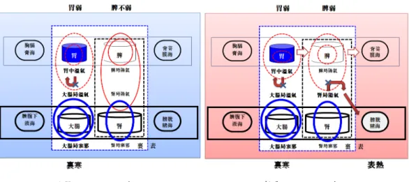 Figure 3. The pathological setup of Soeumin interior symptomatology. The difference between Taeeum symptomatology  (a) and Soeum symptomatology (b) is explained by whether the Spleen Yang-Qi is weakened or not, which is  represented by the size of the circ