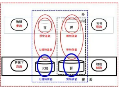 Figure 1. The fundamental physiological and pathological setup of Soeumin 류하고 있다. 表裏之表裏病으로 病證을 분류하고 자 한 기본 의도는 順逆개념에 입각하여 病證을 분 류하여, 偏小之臟 약화 및 손상 상태인 逆證을 구분 하고자 하는 정신에서 비롯한 것으로 사료된다