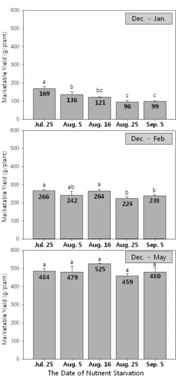 Fig. 3. The marketable yield of strawberry as affected by the tim- tim-ing of nutrient starvation