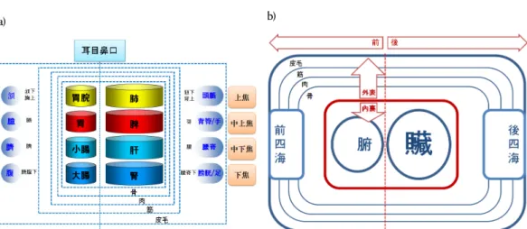 Figure 1. The body structure of The Discourse on Viscera and Bowels. a) The body structure based on the four sector  b) Cross-sectional view 시 이루어지는 변환 과정 등에 두고 있다 12 