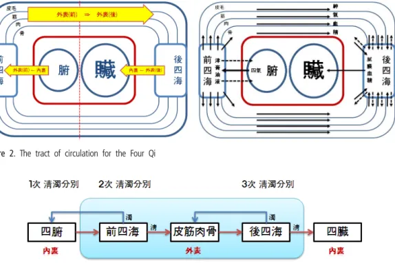 Figure 2. The tract of circulation for the Four Qi