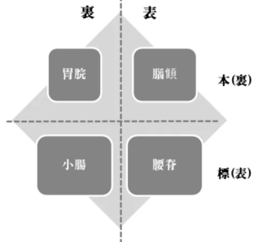Figure 1. The physiological schematic organization of Taeeumin in  the  Gabo  edition  of  