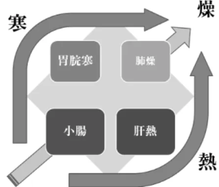 Figure 3. The pathological schematic organization of Taeeumin  in  the  Sinchuk  edition  of  