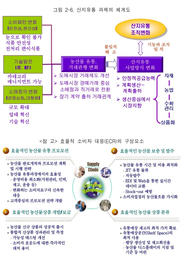 그림  2-6.  산지유통  과제의  체계도 소비패턴 변화 (안전성, 편리성) 기술발전 ( IT,    BT ) 소매점의 변화 (경쟁심화, 대형화) ¾ 도매시장 거래제도 개선¾ 도매시장 경매거래 중심 소매점과 직거래로 전환 ¾ 장기 계약 출하 거래관계농산물 유통, 거래관행 변화 산지유통 사업방식 변화 자재농법 수확 관리 상품화규모 확대업태 혁신기술 혁신눈으로 확인 불가식품 안전성전처리 편이식품산지유통조직변화산지유통조직변화불일치해 소기능과 조직일 치¾ 안정