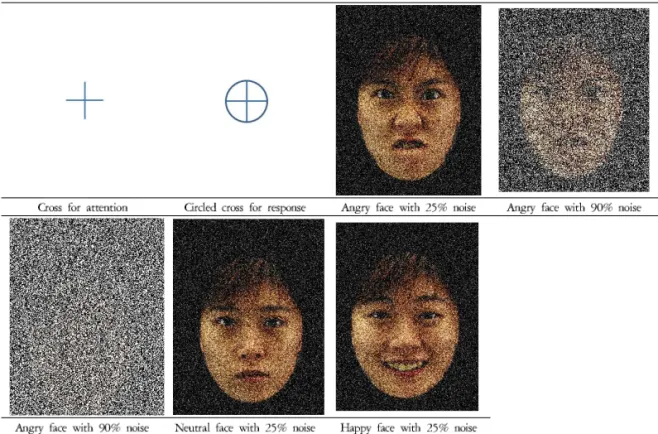 Figure 1. Images used for visual stimulation.