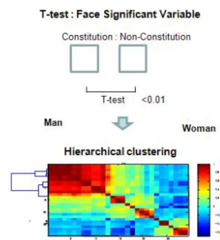 Fig. 3. Hierarchical clustering in face variable.