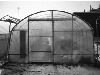 Fig. 1. Experimental greenhouse.