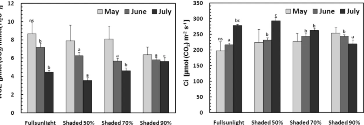 Fig. 5. Changes of OJIP fluorescence curve of B. latissimum grown under four different shading treatments during the experimental peri- peri-ods