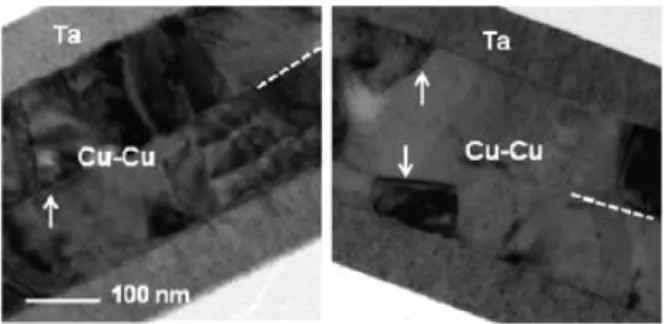 Fig. 10. SEM cross-sectional view of Au-Au thermocompression bonding. 23)