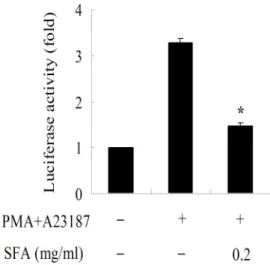 Fig. 9. Effect of SFA on PMA plus A23187-stimulated NFκB activation and IκBα phosphorylation and degradation.