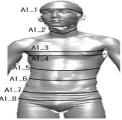 Figure 1. Body Shape 5 Part of Width and 8 Part of Circumstance