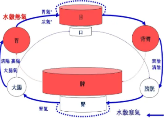Figure 7. The Physiologic Schema of Soyangin in DSC(