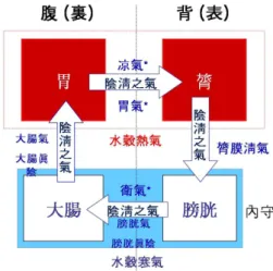 Figure 5. The Circular Schema of Cool Yin Qi( )