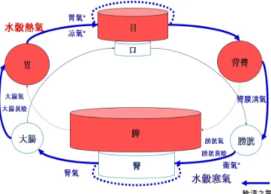 Figure 6. The Physiologic Schema of Soyangin in DGO(