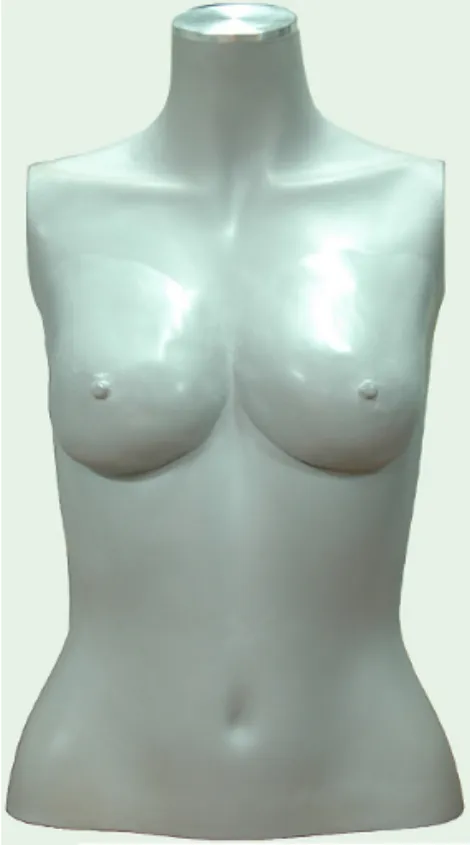 Fig.  1.  Female  Manikin 