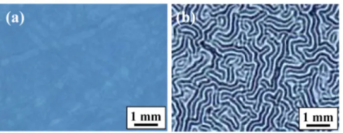 Fig. 5. Schematic illustration for (a) buckling deformation of Au and Pt films and (b) cracking of Cu film caused by transverse compressive stress