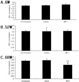 Fig.  8    Effect  of  BPW  Decoction  on  NO  Level  in  Lung  Cells  of  Old  Rats.