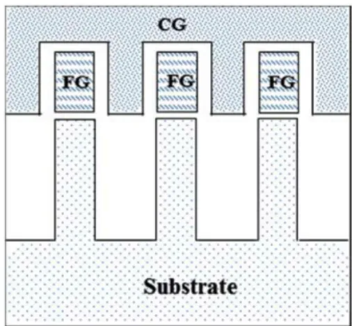 Fig. 1. Schematic Cross sectional view of Flash cells in the direction of gate.