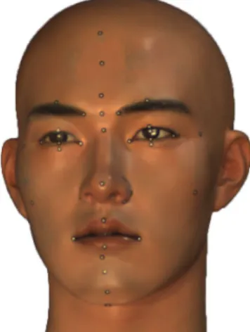 Fig. 1. Face Status