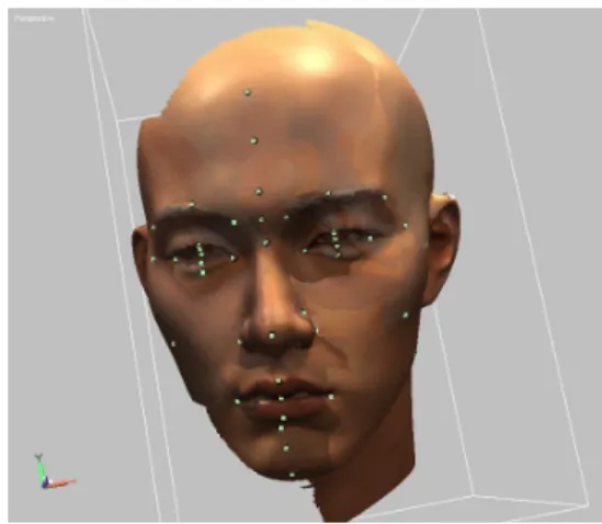 Fig. 10. Front Face Image Scanned by Laser Scanner Fig. 9. Lateral Face Image Scanned by Laser Scanner