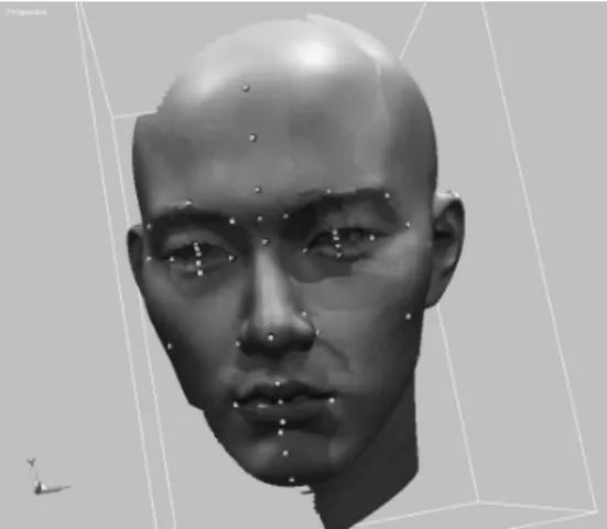 Fig.  11,  Frontal  Face  Analysis Fig.  12.  Frontal  &amp;  Lateral  Face  Analysis
