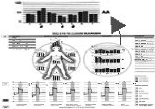 Fig.  2.  The  Outcome  Sheet  of  the  VEGA-DFM722있다.  우리나라에서는 스트레스 진단기,  팔강