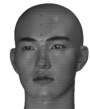 Fig.  1.  Face  Status따라 기기의 정밀도 검사도 새로 시행하여야 할 것이다.  현재 기기의 개발단계로써 3차원 안면자동인식 시스템을 크게 하드웨어 부분과 소프트웨어 부분으로 구분하여 3차원 안면자동인식기의 정밀도 검증실험이 시행되고 있다